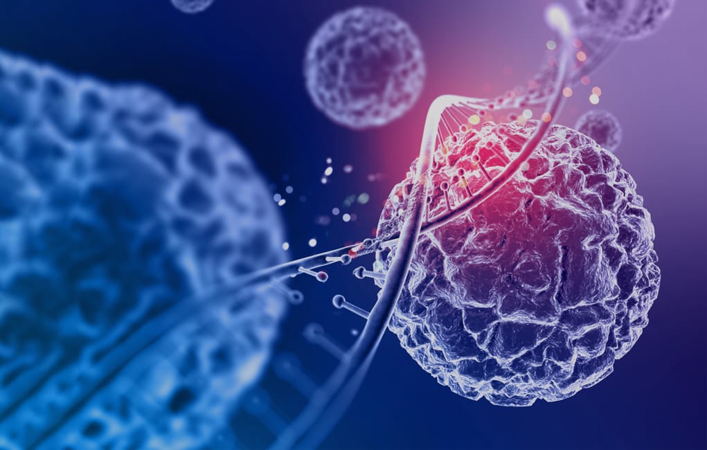 Unpacking the Complex Relationship Between Smoking Cessation, Vaping ...