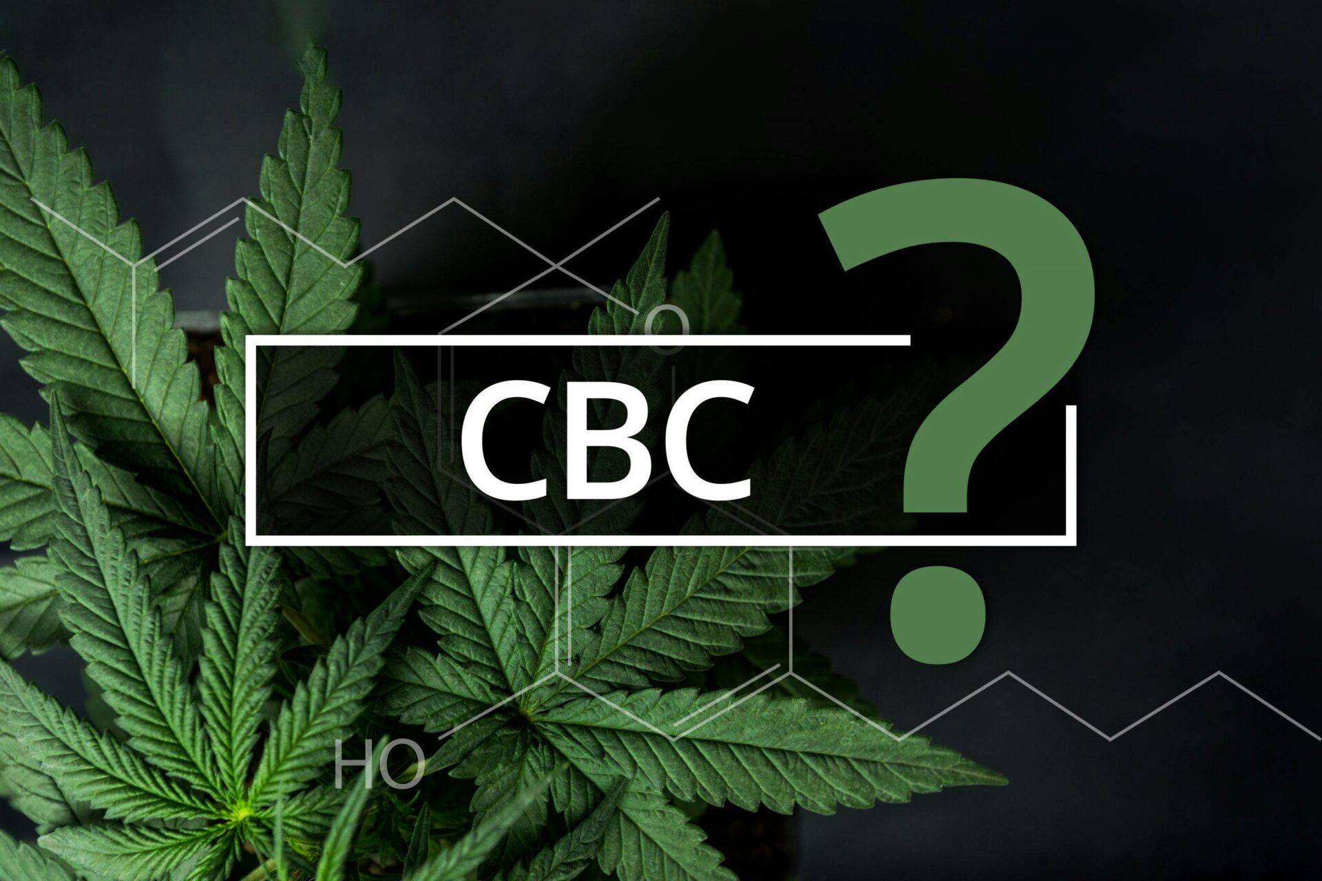 CBC: Understanding Its Unique Potential Beyond CBD • VAPEAST