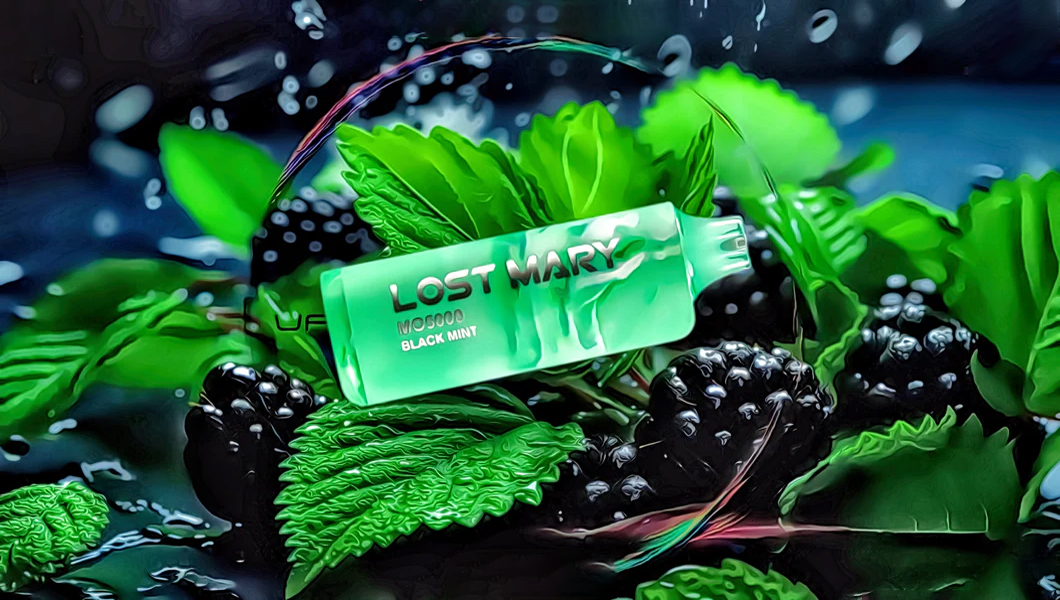 Black Mint Lost Mary Discontinued Products Chilling With The Cool Kids: A  Review Of The Lost Mary Black Mint Mo5000 And Os5000 Vape Amazon Australia