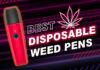 The Ultimate Guide to the Best Vape Pens of 2024 for All Types of Vapers